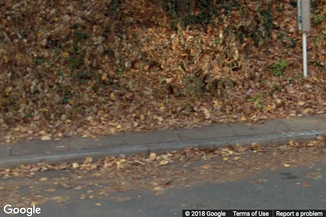 A Street View image of a large amount of dead leaves on a sidewalk